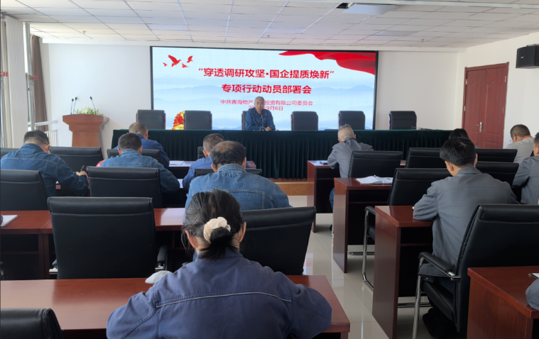 工投公司黨委召開“穿透調(diào)研攻堅(jiān)·國(guó)企提質(zhì)煥新”專項(xiàng)行動(dòng)動(dòng)員部署會(huì)