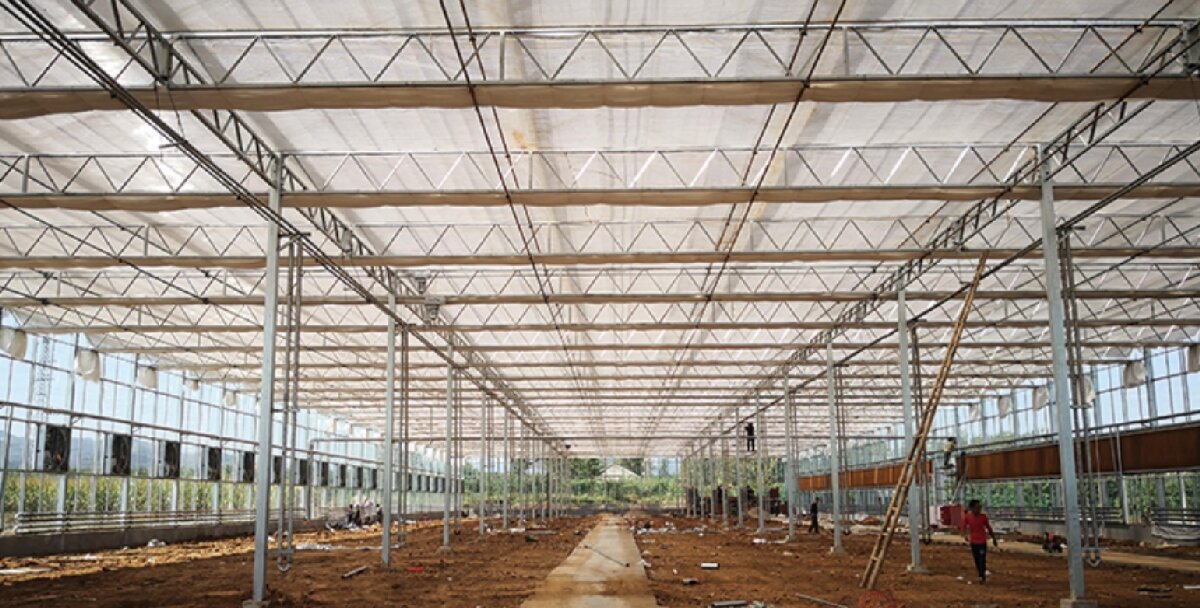 信橋鋼構(gòu)：打卡蒙陰農(nóng)業(yè)溫室大棚、青州黑牛養(yǎng)殖基地！(圖3)